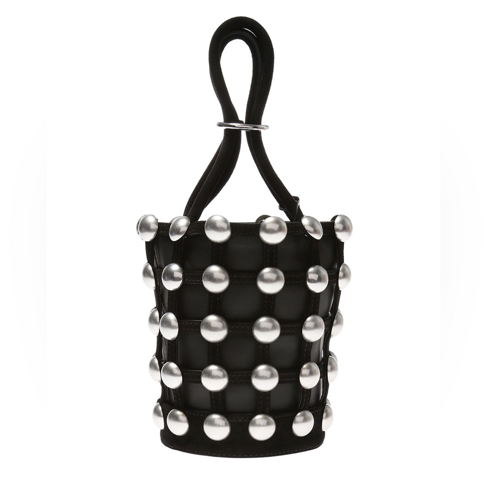 Alexander Wang Roxy bag
